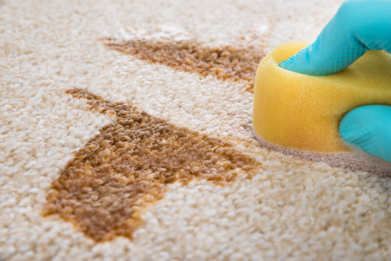 Photo of a hand cleaning spill on carpet