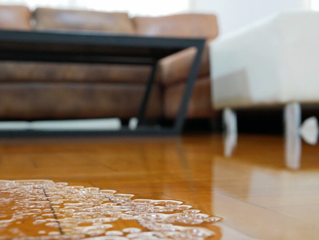 Standing water on flooded floor in living area